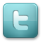 Follow @dizzySEO on Twitter